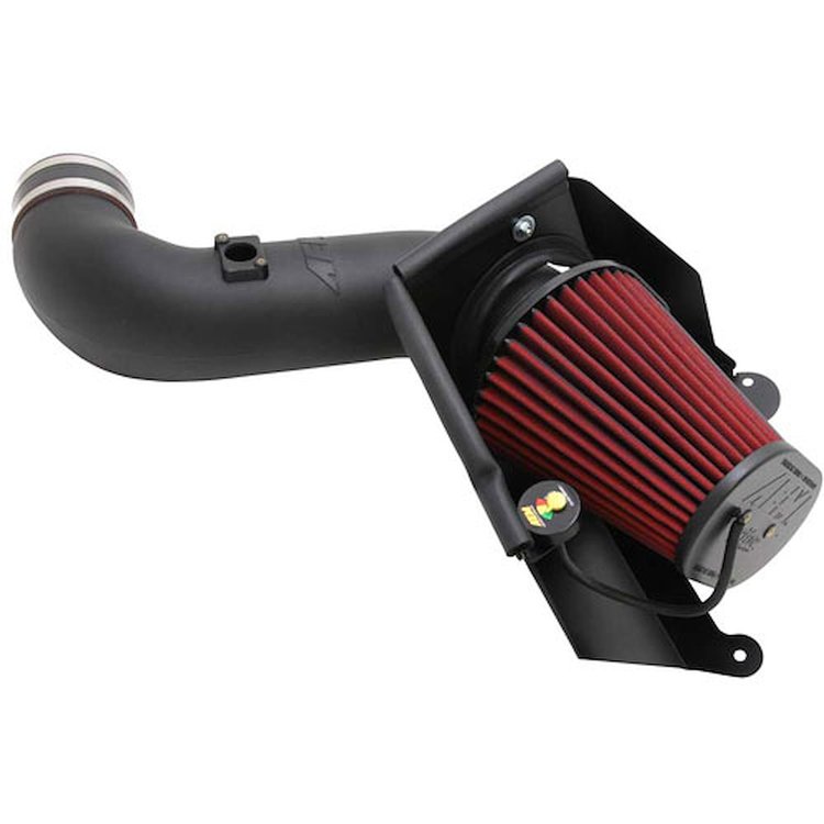 Brute Force HD Induction System