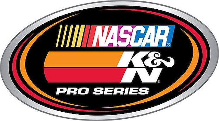 Decal Nascar Pro Series 5-11/16" x 3-1/4"