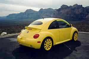 Rear Oval Window Louver 2001-10 VW Beetle