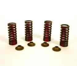 VALVE SPRING KIT
