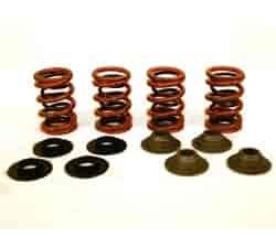VALVE SPRING KIT