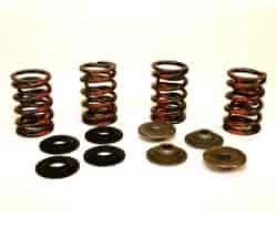 VALVE SPRING KIT