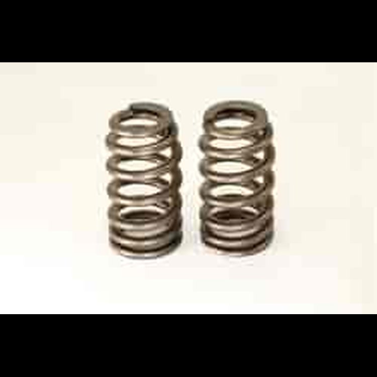 B-HIVE VALVE SPRING KIT