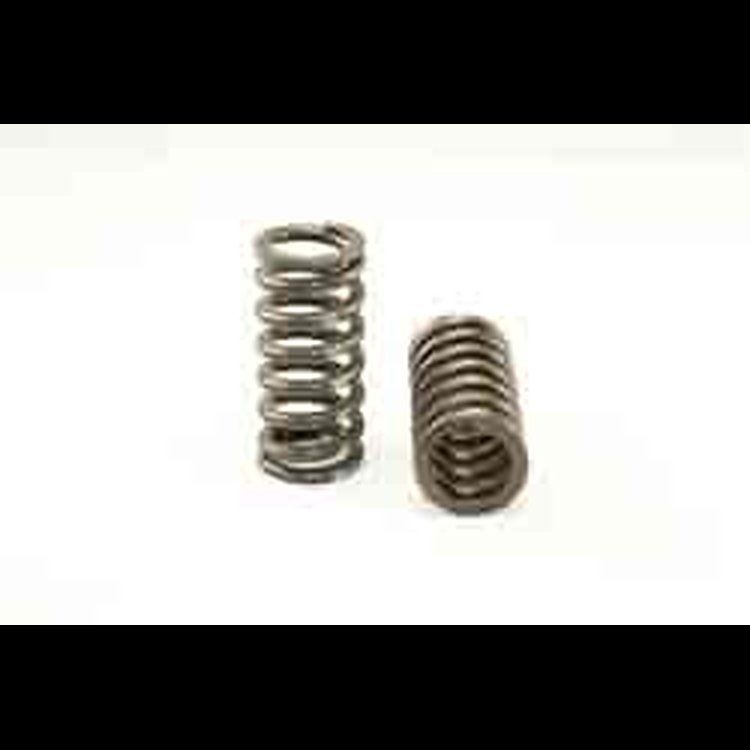 VALVE SPRING SET