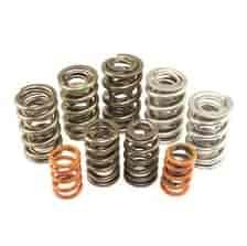 Endurance Plus Dual Valve Spring Set 1.560 in. OD