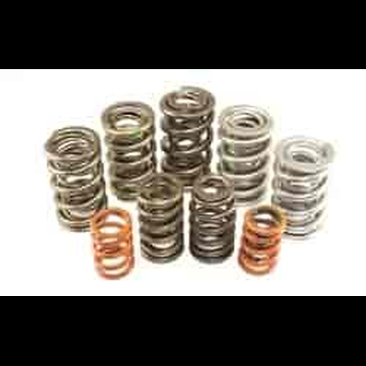 VALVE SPRING SET