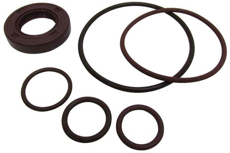 P/SERIES PUMP SEAL KIT