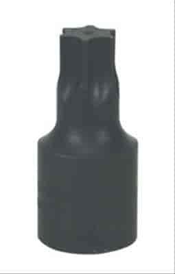 T20 Torx Drive Bit