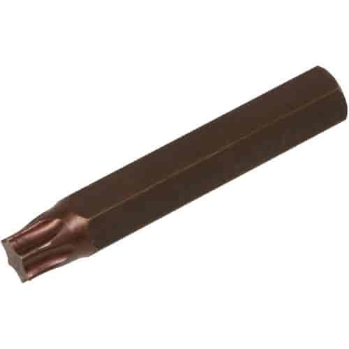 T55 Torx Drive Bit