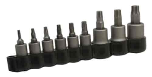 TP50 Torx Plus Bit