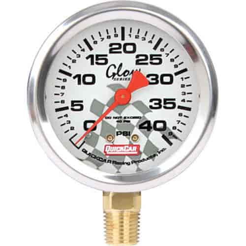 Replacement Tire Pressure Gauge Head Glo 0-40 psi.
