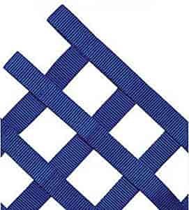 Window Net - 24" x 18" Blue