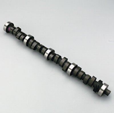 CAM FORD 460 V8 SS295H10