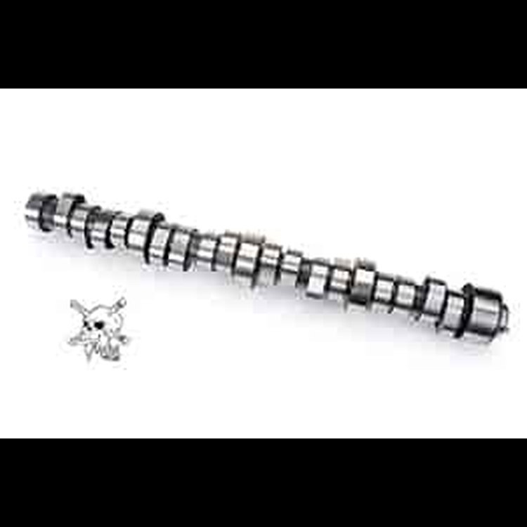 Camshaft Lift: .506" /.512" Duration: 209°/213° RPM Range: 1200-5600