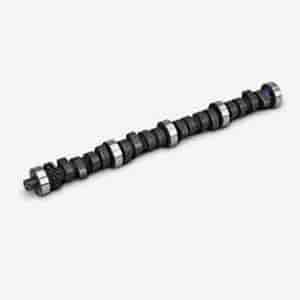 CAM FW .309/.323 223/231-112