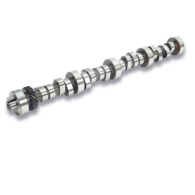 CAM FORD BOSS V8 DR318SR0