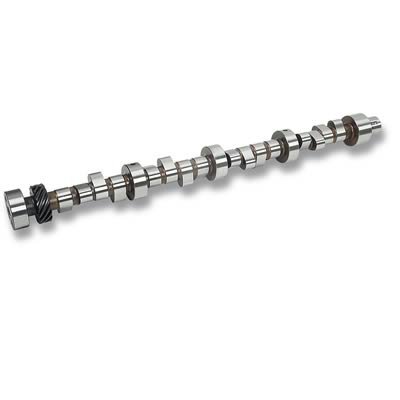 CAM PONT 55-81 V8 DR310SR