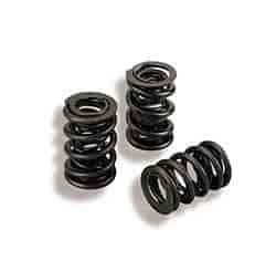 INTRO-VALVE SPRING-12PC