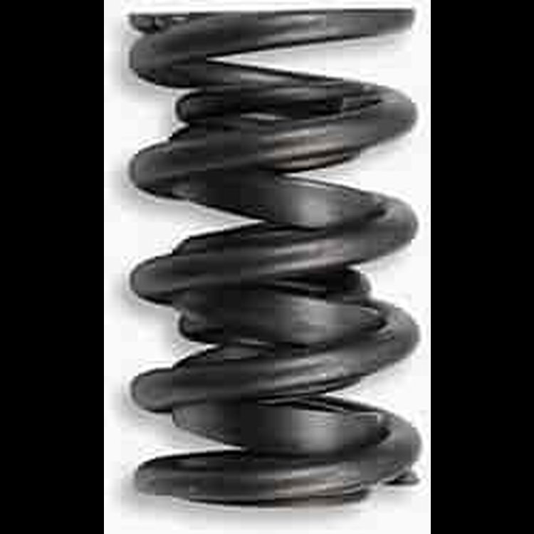 INTRO-VALVE SPRING-1 PC
