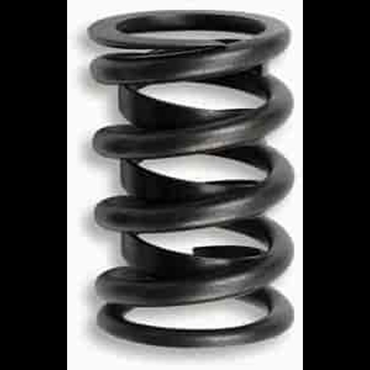 INTRO-VALVE SPRING-16PC