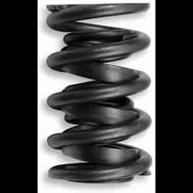 Valve Springs Outside Diameter: 1.450"