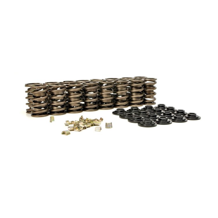 Dual Valve Spring Kit Includes: Valve Spring 638-73117-16