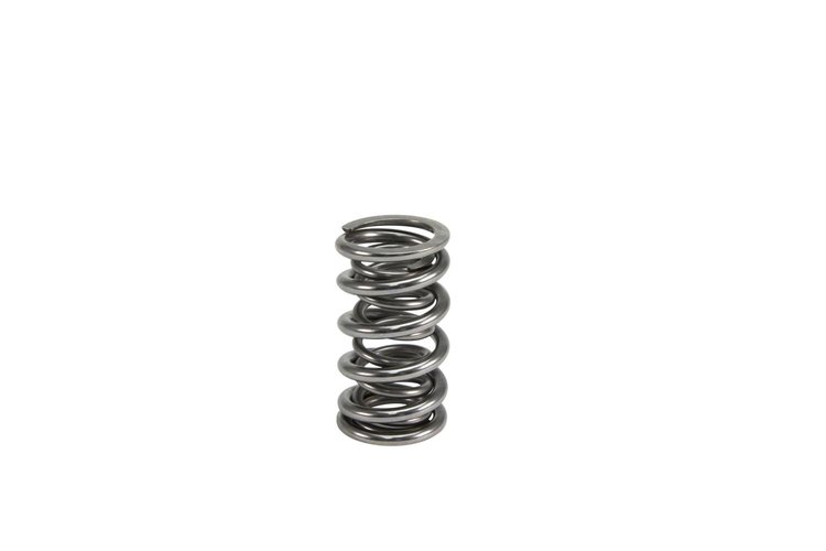 VALVE SPRG 1.306 DUAL W/O