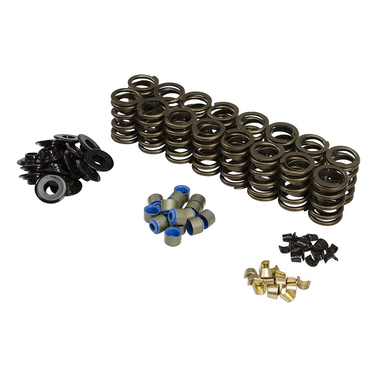 Valve Spring Kit for Select 1993-1997 Ford GT40/GT40P