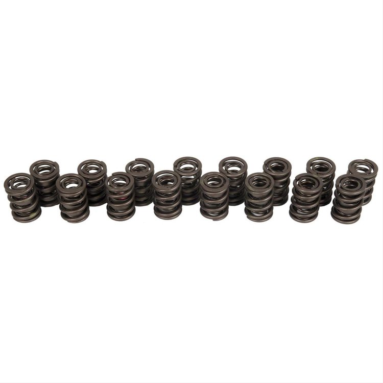 VALVE SPRINGS FORD 4.6L 2