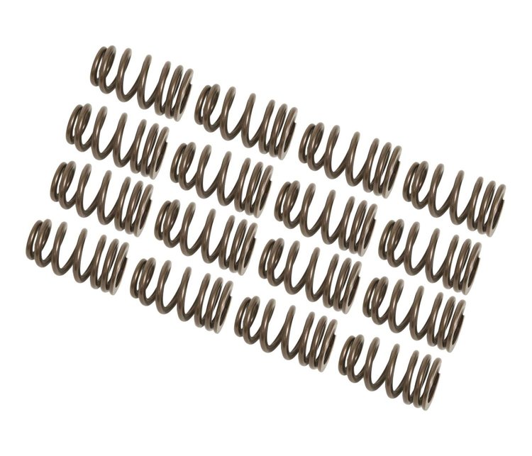 VALVE SPRINGS 1.445 BEEHI