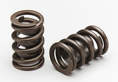 VALVE SPRINGS 4.6L FORD4V