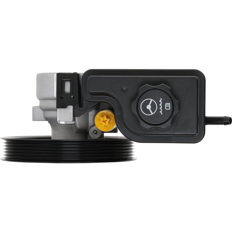 Power Steering Pump Assembly for GM