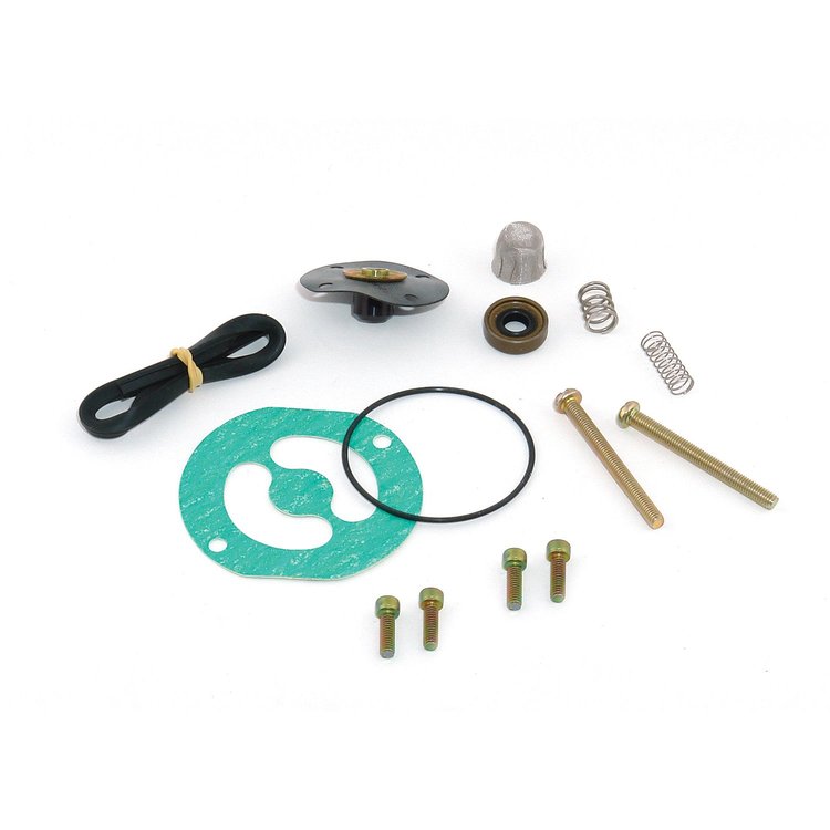 Replacement Diaphragm Kit For Regulator 5250