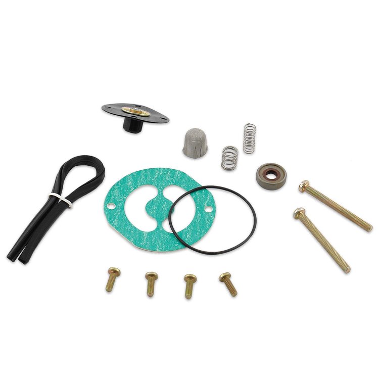 Replacement Diaphragm Kit For Regulator 5250