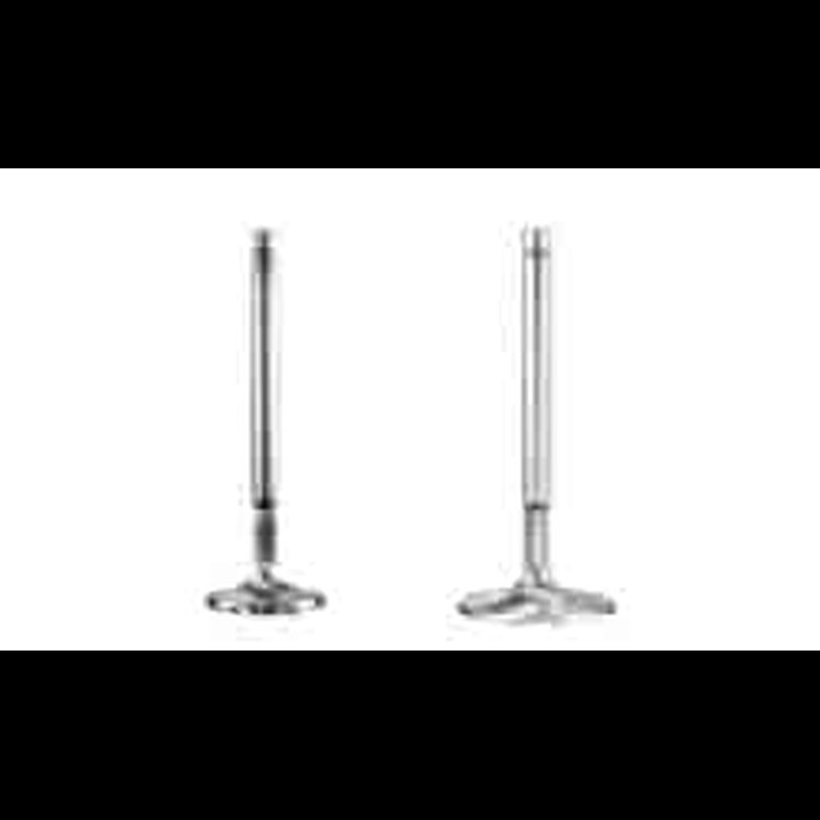 Race Master Race Flo Intake Valves Small Block Chevy