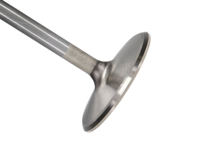 VALVE-FORD 6.2L R/M54.5mm