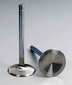Severe Duty Valves Type: Intake