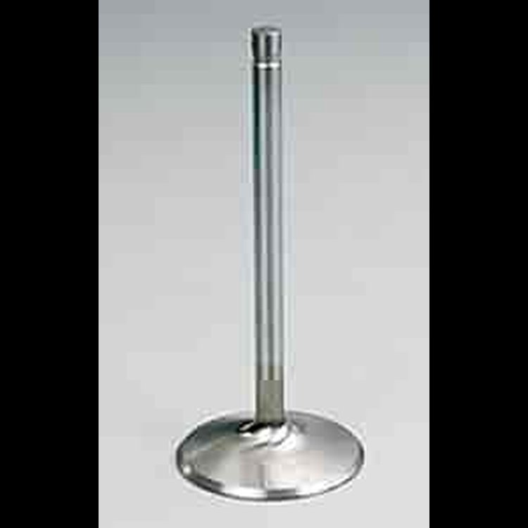 Severe Duty Intake Valve Big Block Chevy