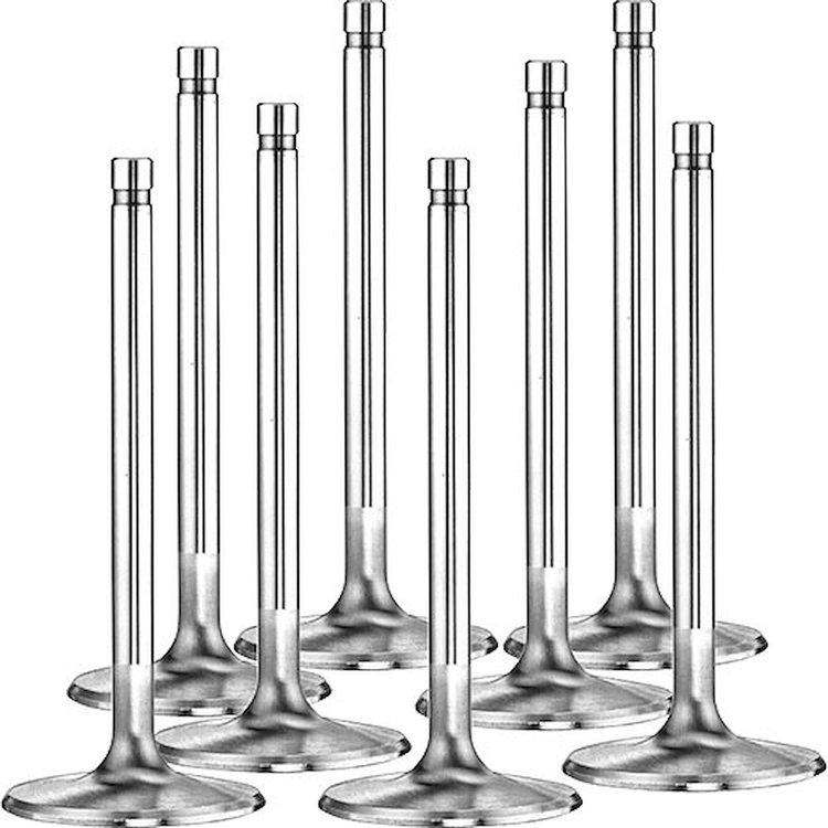Severe Duty Intake Valves Small Block Chevy
