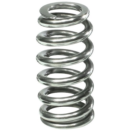 Polished NexTek H.P. Valve Springs 4.6/5.4L SOHC 3V