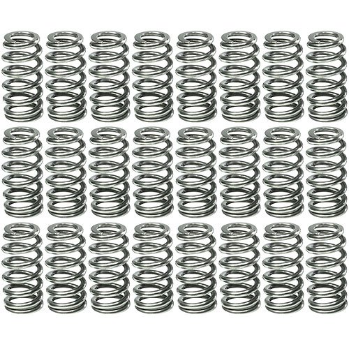 Polished NexTek H.P. Valve Springs 4.6/5.4L SOHC 3V
