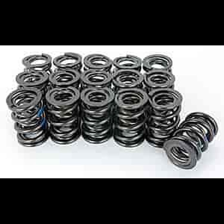 NexTek 1.206" Dia. Valve Spring with Damper Max Lift: .600"