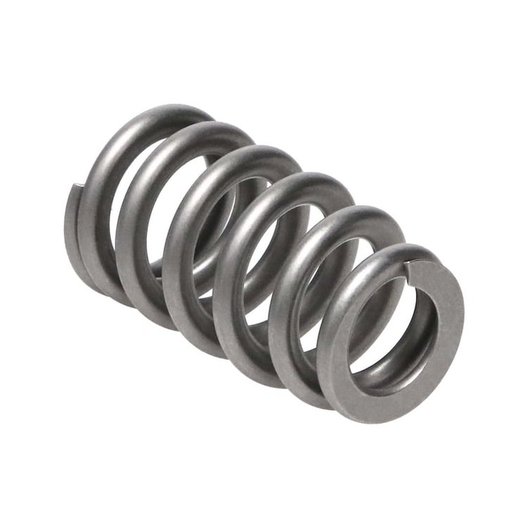 Super Finished NexTek H.P. Valve Springs GM LS-series
