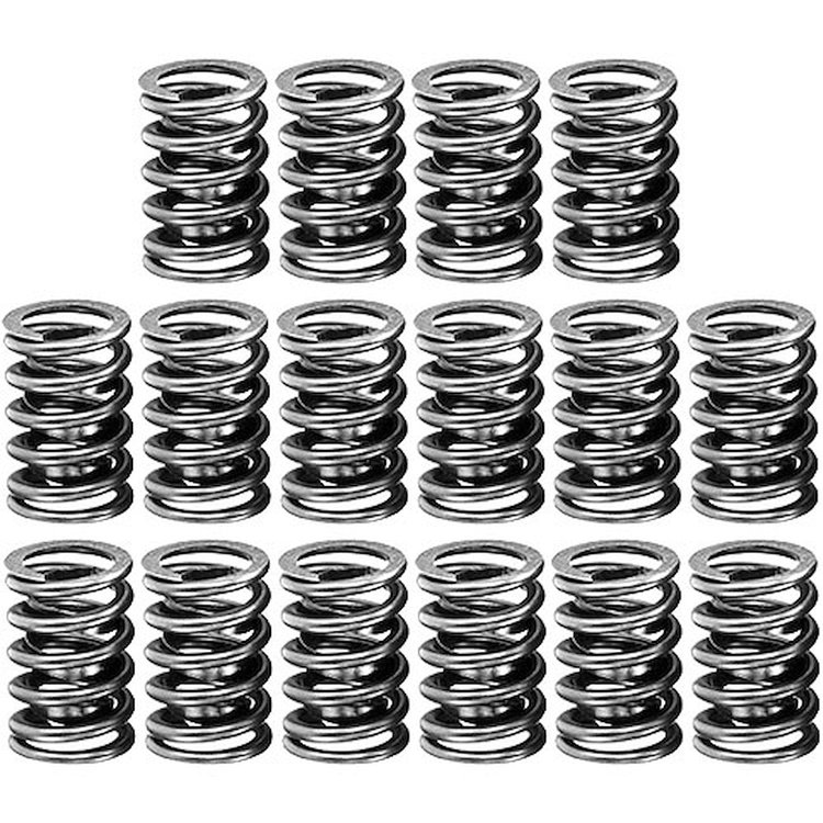 Professional Series Valve Springs 1.255" O.D.