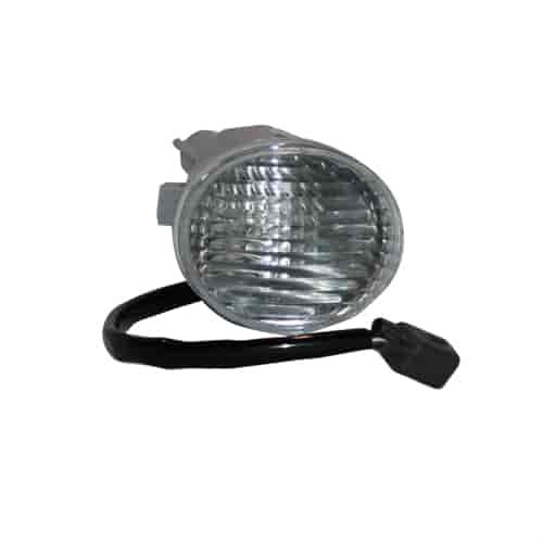 Back-Up Lamp Assembly