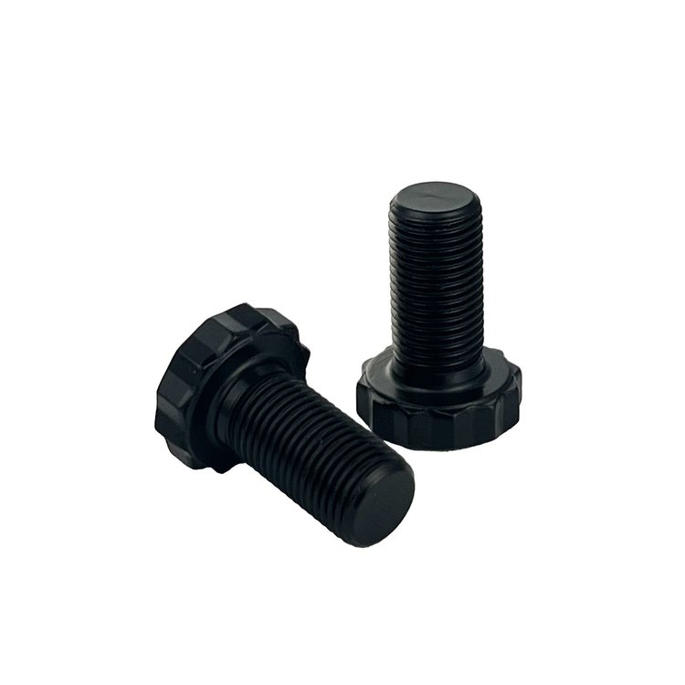 FP BOLTS V8 10MX1.0