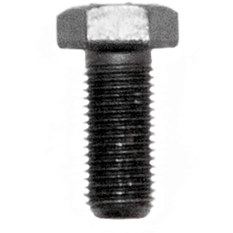 Ring Gear Bolt