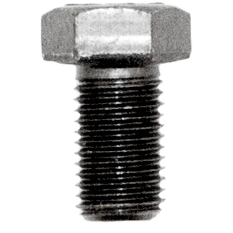 Ring Gear Bolt