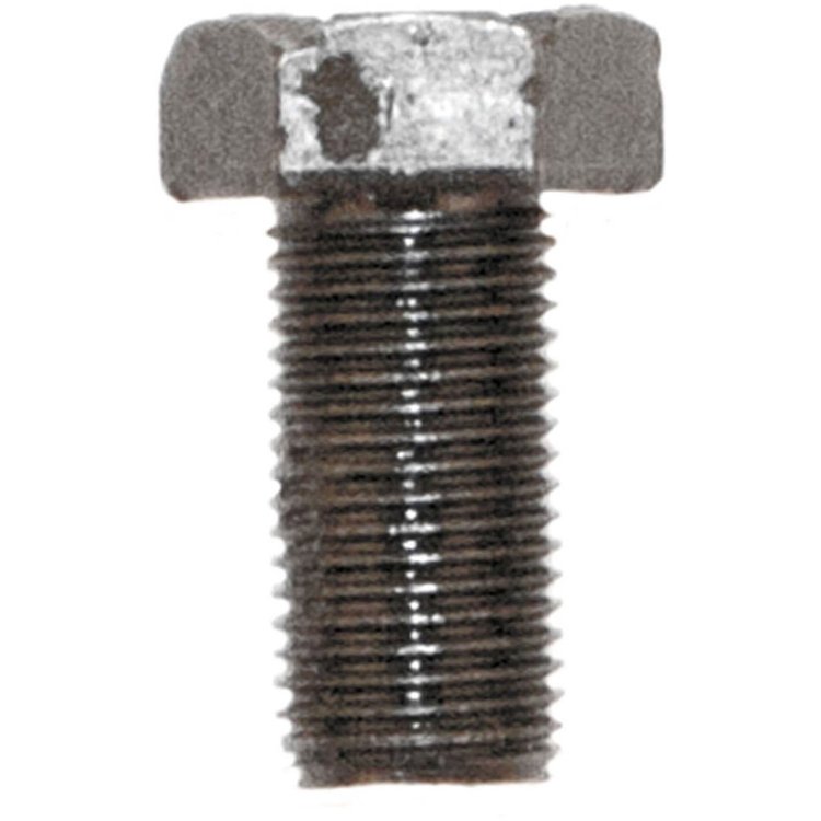 Ring Gear Bolt