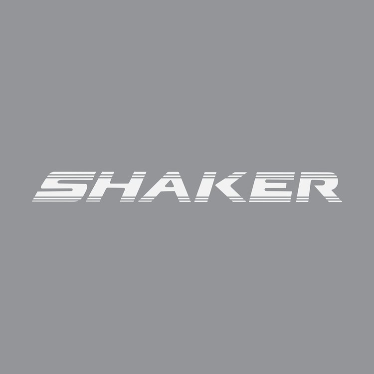 108V22 Underhood SHAKER Script Decal, 2008-2018 Dodge Challenger, Matte White